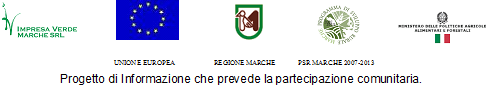 loghi psr ivmarche